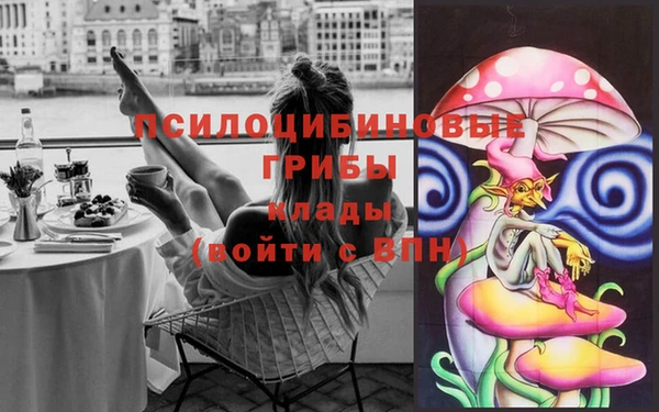 ешки Алексеевка
