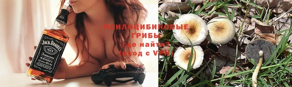 шишки Алексин