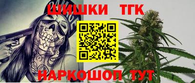 гашик Сланцы