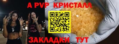 гашик Сланцы