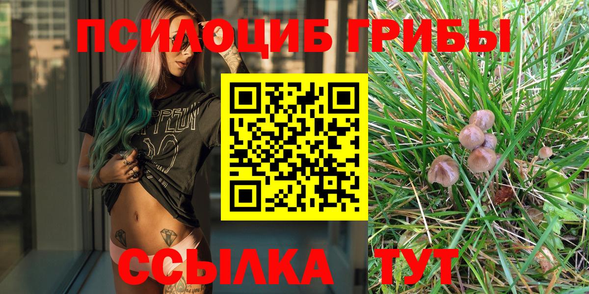 магазин продажи наркотиков  Вход с VPN  Тюмень  Псилоцибиновые грибы MAGIC MUSHROOMS 